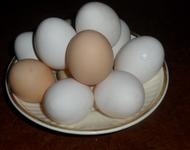 яйцо куриное деревенское