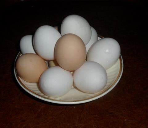 яйцо куриное деревенское
